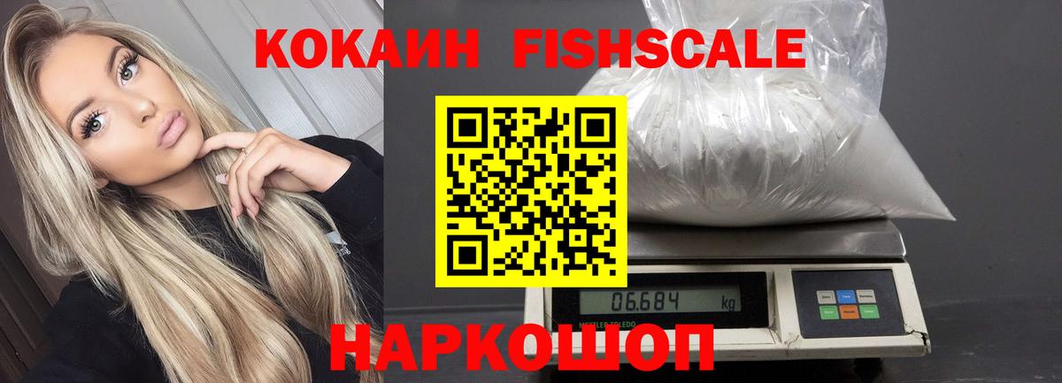 COCAIN Fish Scale  Кокаин  Сухой Лог  Вход с VPN 