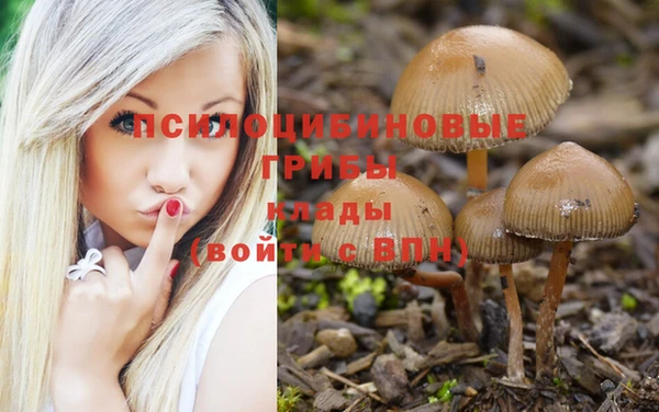 прущие крисы Лабытнанги