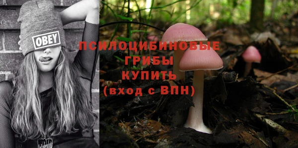 хмурый Лагань