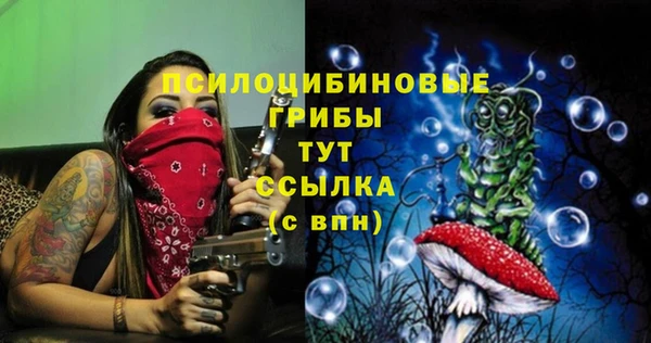 прущие крисы Лабытнанги