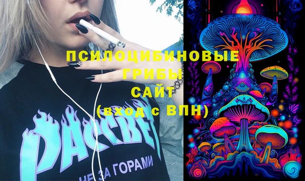 хмурый Лагань
