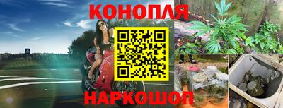 скорость Лесосибирск
