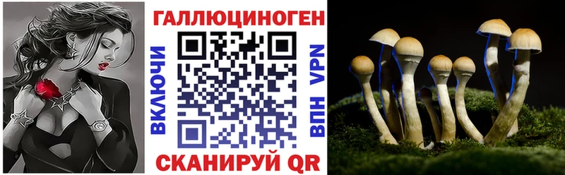 Галлюциногенные грибы прущие грибы  Сухой Лог 