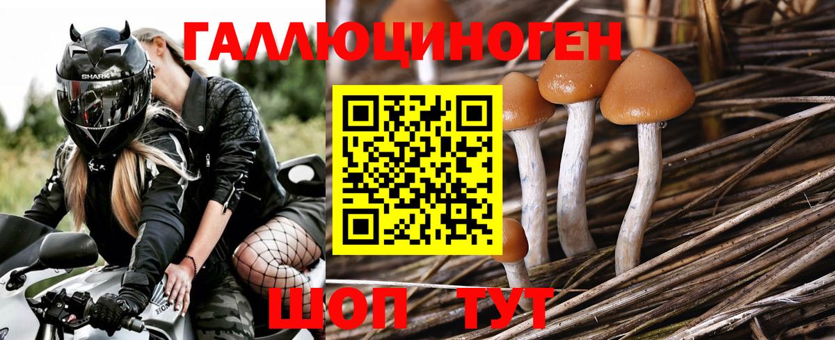 Псилоцибиновые грибы MAGIC MUSHROOMS  Вход с VPN  Сухой Лог 