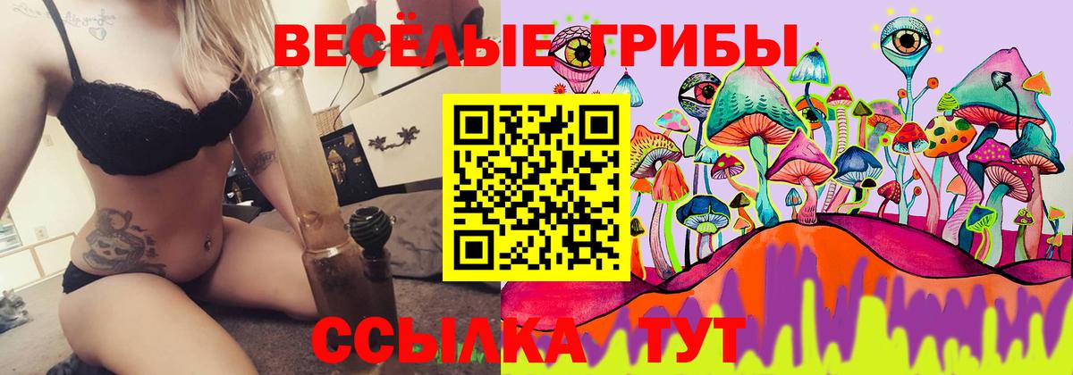 Галлюциногенные грибы Psilocybe Сухой Лог